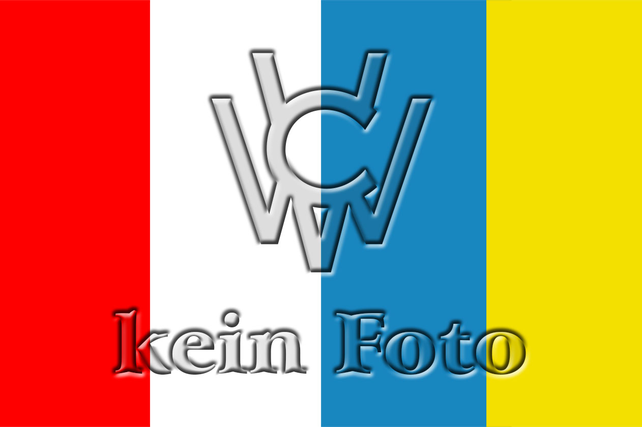 Die CVW Minigarde 2020 Die CVW Minigarde 2020