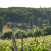 CVW-Familienwanderung